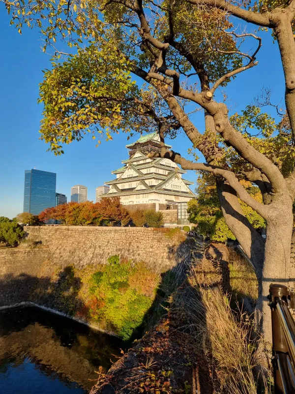 Autumn colors in Osaka Castle gardens with traditional Japanese architecture