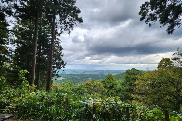 The peaceful resting spot with tea overlooking the forest